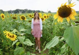 sunflower fields pope farm