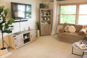 living room home decor
